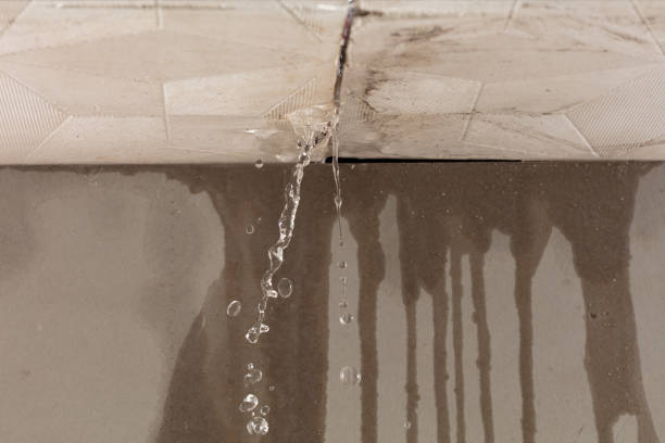 Professional Structural Drying technician working in Rushville, OH